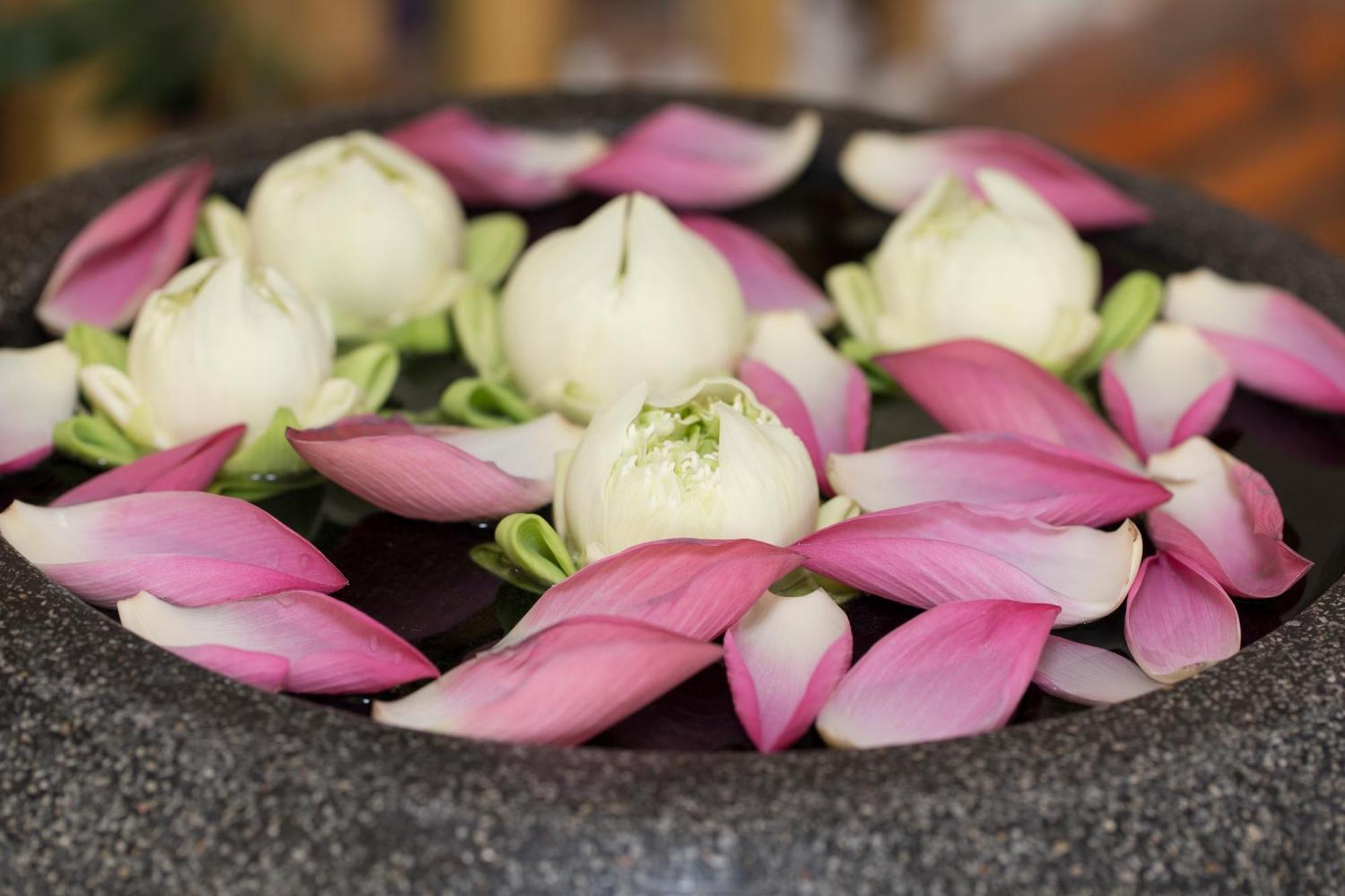 Sambath Residence Siem Reap Buitenkant foto
